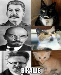  в каше