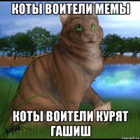 коты воители мемы коты воители курят гашиш