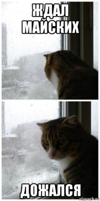 ждал майских дожался