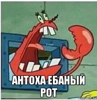  антоха ебаный рот