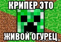 крипер это живой огурец