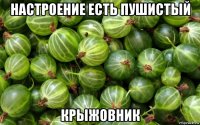 настроение есть пушистый крыжовник