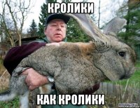 кролики как кролики