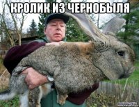 кролик из чернобыля 