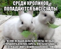 среди кроликов попадаются бисесуалы из них не надо делать котлеты. их надо отправлять в печку. гореть. пусть хоть как-то согревают мир своими наклонностями