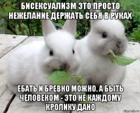 бисексуализм это просто нежелание держать себя в руках ебать и бревно можно. а быть человеком - это не каждому кролику дано