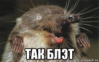  так блэт