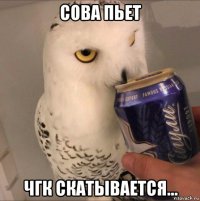 сова пьет чгк скатывается...