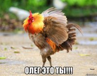  олег это ты!!!