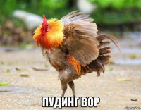  пудинг вор