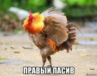  правый пасив
