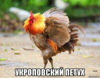  укроповский петух
