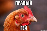 правый гей