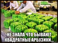  не знала что бывают квадратные арбузики...