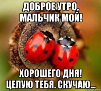 доброе утро, мальчик мой! хорошего дня! целую тебя. скучаю...