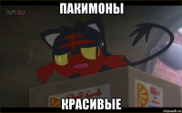 пакимоны красивые
