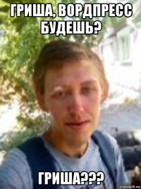 гриша, вордпресс будешь? гриша???