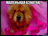 маленькая азиатка... 