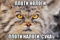 плоти нологи плоти налоги, сука