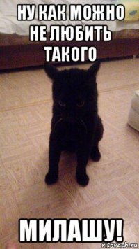 ну как можно не любить такого милашу!