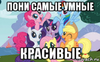 пони самые умные красивые