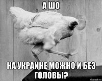 а шо на украине можно и без головы?