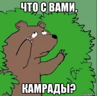 что с вами, камрады?
