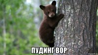  пудинг вор