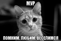 мур помним. любим. веселимся