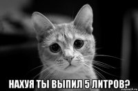  нахуя ты выпил 5 литров?
