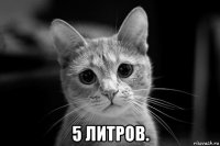  5 литров.