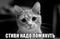  стиви надо помянуть