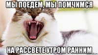 мы поедем, мы помчимся на рассвете утром ранним