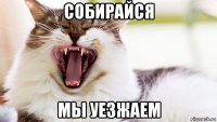 собирайся мы уезжаем