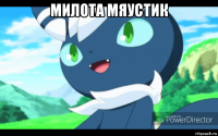 милота мяустик 