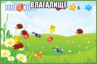 влагалище 
