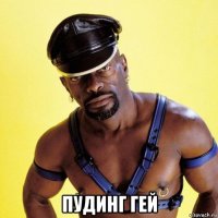 пудинг гей