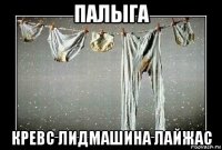 палыга кревс лидмашина лайжас