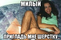 милый пригладь мне шерстку