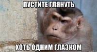 пустите глянуть хоть одним глазком