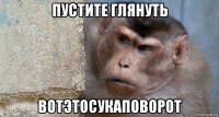пустите глянуть вотэтосукаповорот