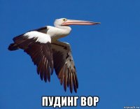  пудинг вор