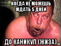 когда не можешь ждать 5 дней до каникул (жиза)