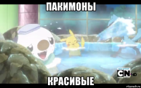пакимоны красивые