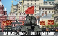  за несколько полярный мир