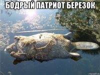бодрый патриот березок 