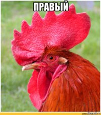 правый 