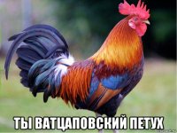  ты ватцаповский петух