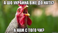 а шо украина вже до нату? а нам с того чи?