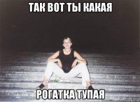 так вот ты какая рогатка тупая
